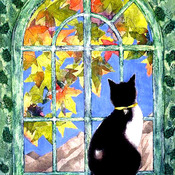 Cat By The Window Cross Stitch Pattern