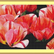 Tulips Cross Stitch Pattern