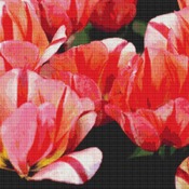 Tulips Cross Stitch Pattern