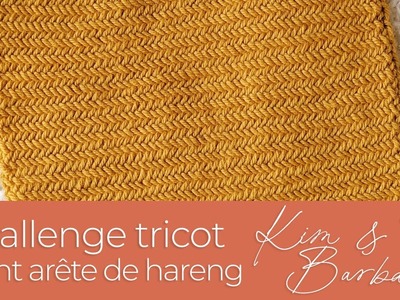 Challenge Tricot : #13 Point arête de hareng (Herringbone stitch)