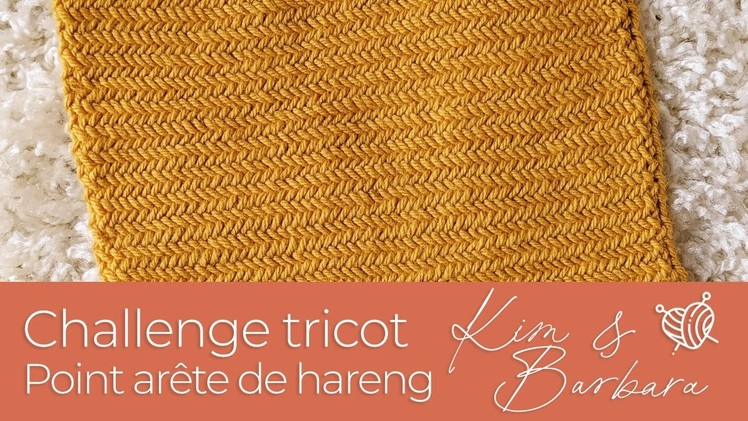 Challenge Tricot : #13 Point arête de hareng (Herringbone stitch)