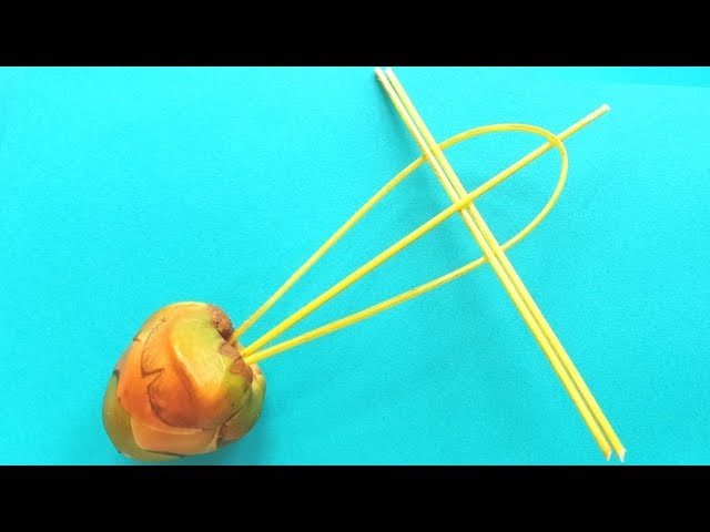 How To Make Toy With Baby Coconut | DIY Toy With Baby Coconut | How To Create A Toy By Baby Coconut