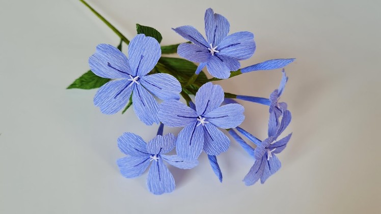 How To Make Blue Plumbago Paper Flower. Paper Flower. Góc nhỏ Handmade