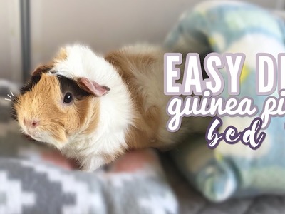 How To Make a DIY Guinea Pig Bed | Easy Tutorial