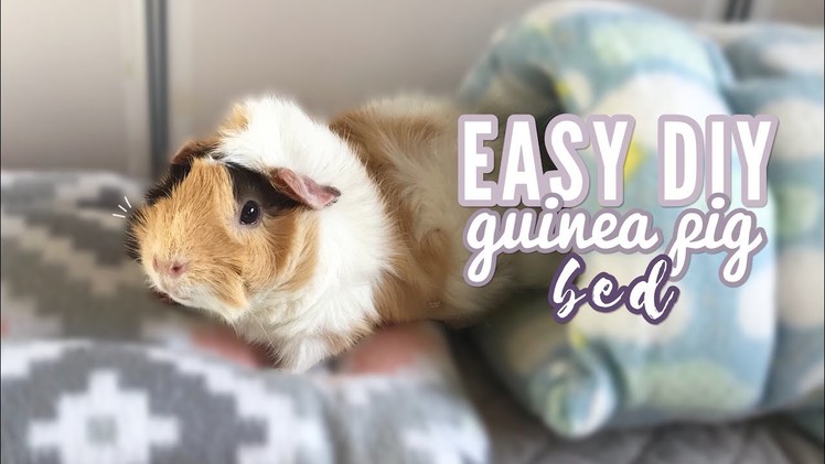 How To Make a DIY Guinea Pig Bed | Easy Tutorial