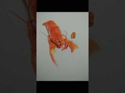 Cool Trick Art Drawing 3D on paper   Anamorphic illusion   Draw step by step   15