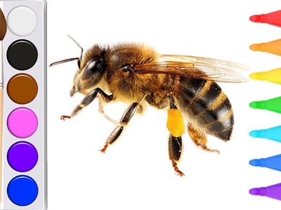 Dibujar y colorear abeja - Dibujos para niños. drawing honeybee for kids