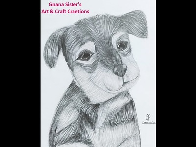 How to draw a cute Puppy.dog pencil sketch easy step by step for beginners by Gnana Deepika Pathuri