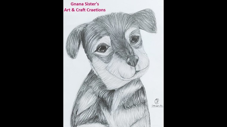 How to draw a cute Puppy.dog pencil sketch easy step by step for beginners by Gnana Deepika Pathuri
