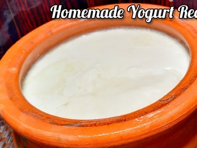 How To Make Homemade Yogurt | Easy and Quick Yogurt Recipe | #Short | Sarah's Mom Kitchen