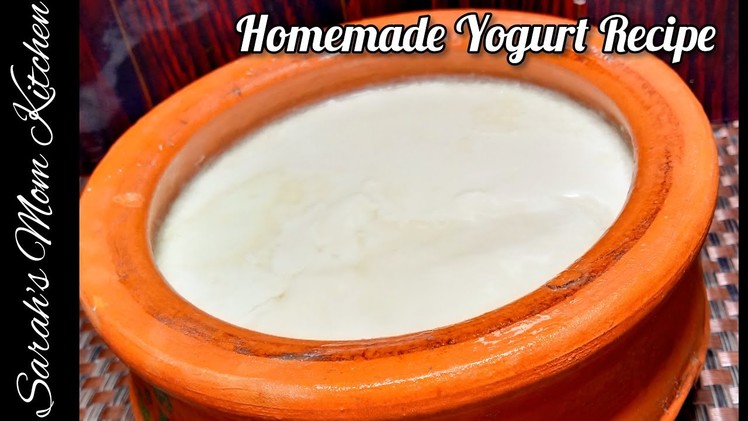How To Make Homemade Yogurt | Easy and Quick Yogurt Recipe | #Short | Sarah's Mom Kitchen