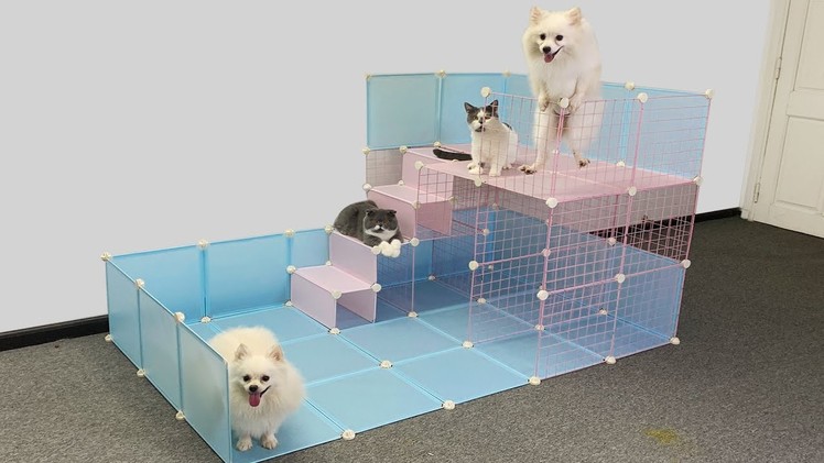 DIY - How To Make Play Area For Pomeranian Puppies & Kitten At Home Ideas - Make Dogs Cats Pet House