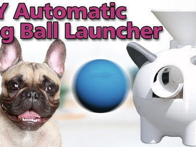 The ultimate DIY Automatic Dog Ball Launcher.