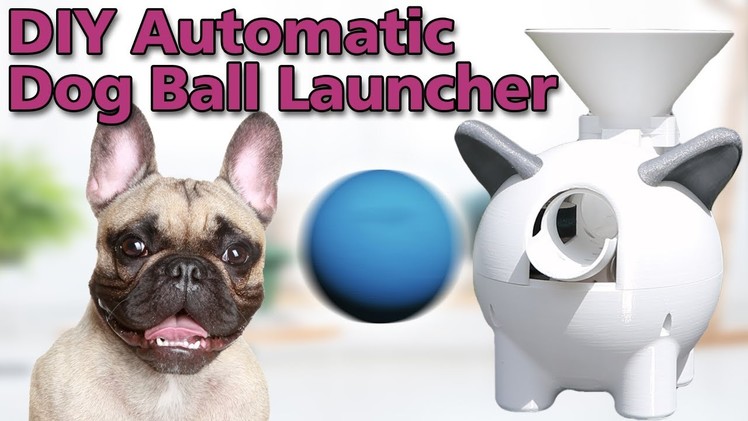 The ultimate DIY Automatic Dog Ball Launcher.