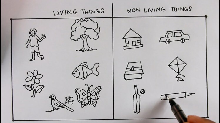 How TO Draw Living Things And Nonliving Things.For Science Project