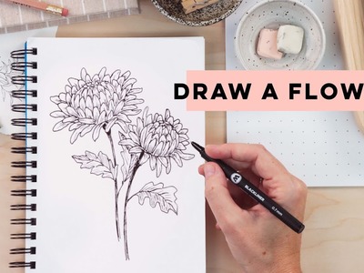 How To Draw A Flower | Beginner Chrysanthemum Tutorial