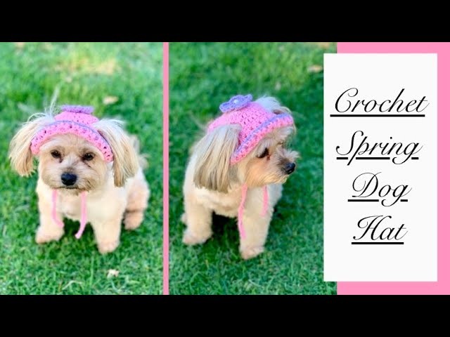 Crochet a dog spring hat | Size small | Full free tutorial | Hat and Dress matching set