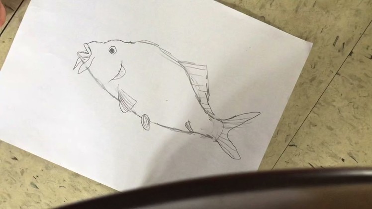 How to draw mirror carp