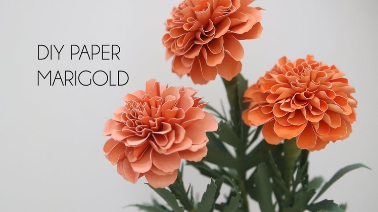DIY Paper Marigold (How to make paper flower, crafts)