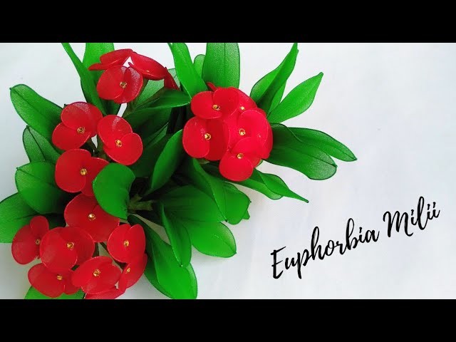 How to Make Nylon Stocking Flowers "Euphorbia" || Tutorial Bunga Stoking Euphorbia Simpel dan Mudah