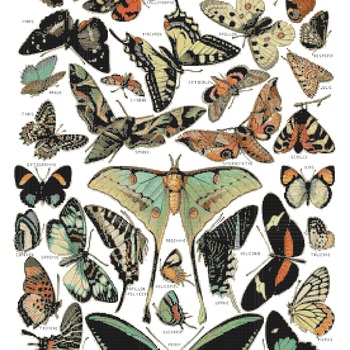 counted cross stitch pattern butterflies poster millot 258*401 stitches CH1579