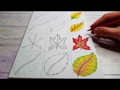 Drawing 4 types of AUTUMN LEAVES ???????? #shorts