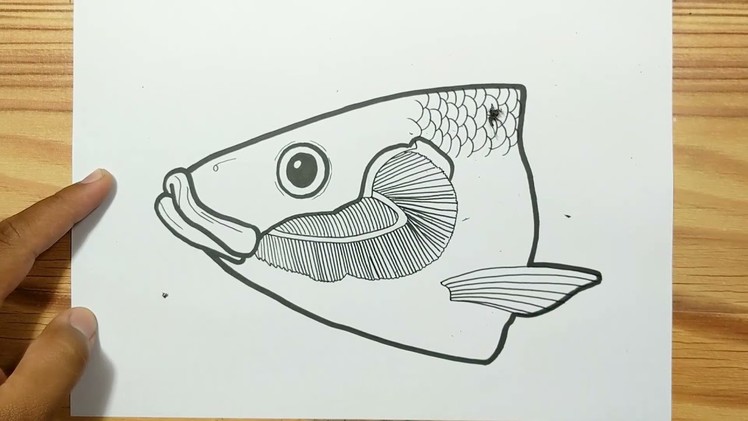How to Draw Fish Gills