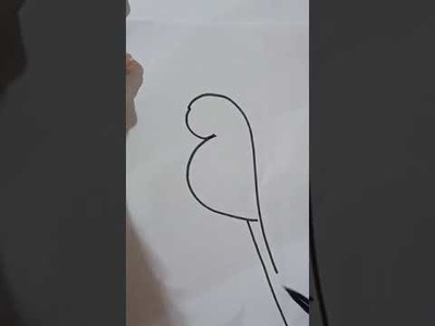 How to draw parrot step by step | pretty bird on branch |  how to draw parrot easily