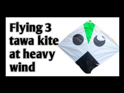 ????Flying 3 tawa kite at heavy wind | #shorts #kiteflying #kites