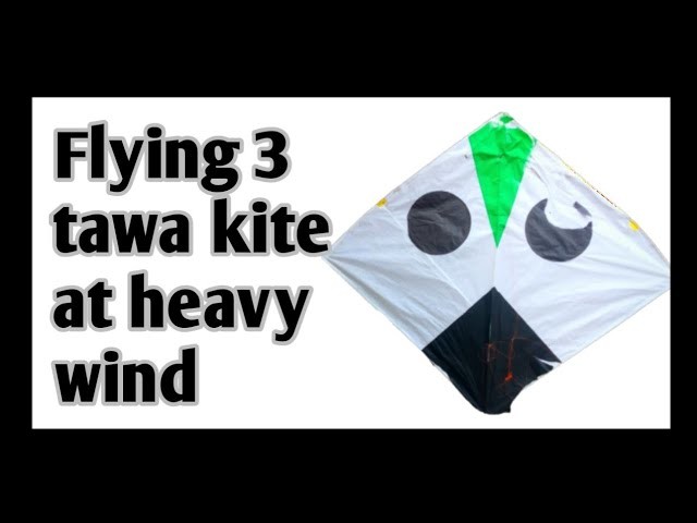 ????Flying 3 tawa kite at heavy wind | #shorts #kiteflying #kites