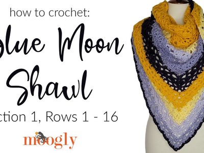 How to Crochet: Blue Moon Shawl Section 1, Rows 1 - 16 (Right Handed)