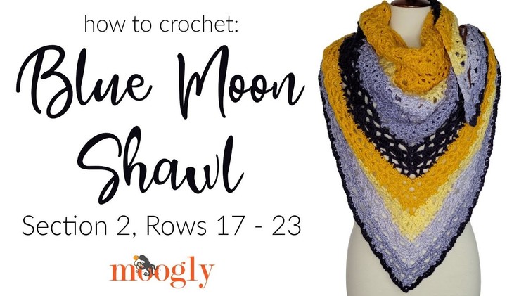 How to Crochet: Blue Moon Shawl Section 2, Rows 17 - 23 (Right Handed)