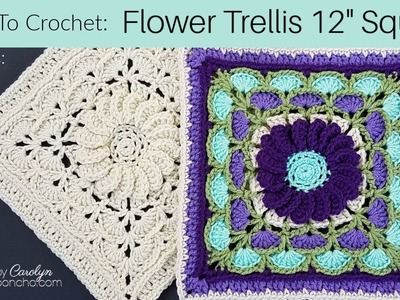 How To Crochet Flower Trellis 12" Square