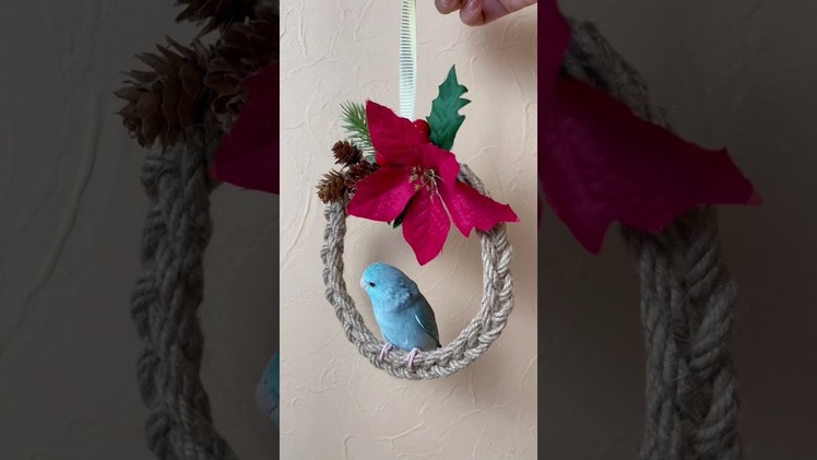 10 minutes DIY. Easy Christmas Wreath with Jute ropes #shorts