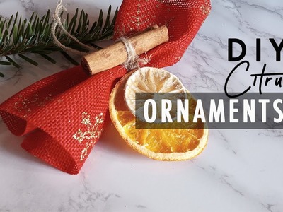 ???????? DIY Christmas Decoration | ????Decorate the Tree with Citrus Scented Homemade Ornaments! ????