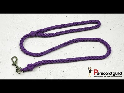 Spool knit paracord dog leash