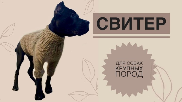 Свитер для собак крупных пород. Вязаный свитер для собак. Как связать свитер для собак. Вязание
