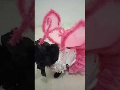Butterfly costume #shorts #diy #sewing