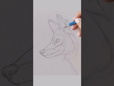 How to draw a FOX in 1 minute │ Cómo DIBUJAR un ZORRO en 1 Minuto ????????????????‍♀️