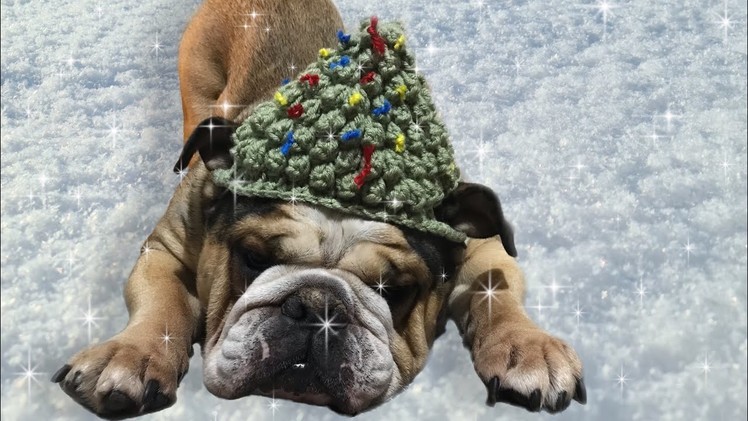 Crochet tutorial: how to crochet Christmas tree dog hat