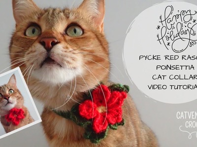 Pycke 'Red Rascal' Poinsettia Cat Collar - Catventurous Crochet