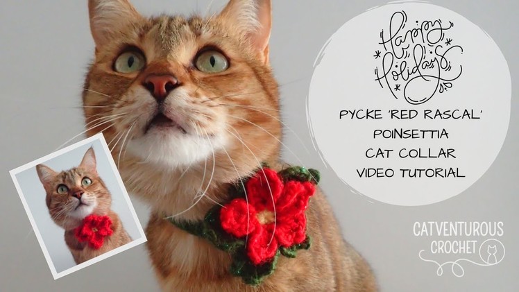 Pycke 'Red Rascal' Poinsettia Cat Collar - Catventurous Crochet