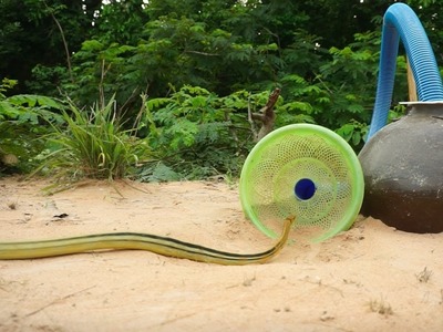 Build underground diy snake trap using cray pot with basket