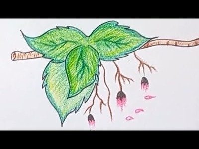 #Short| How to draw branch of tree step by step for beginners| Easy drawing| Laiba's sketchbook
