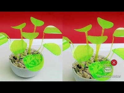 Mini plant out of plastic bottles diy
