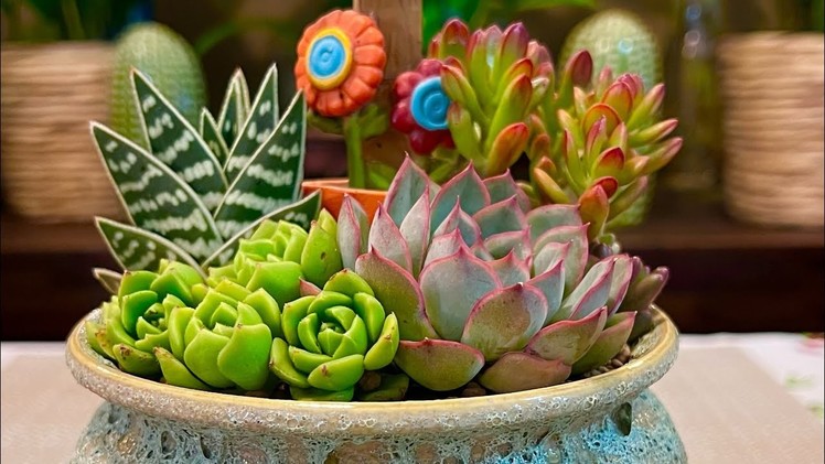 Succulent Arrangement Perfect Gift for any Occasion