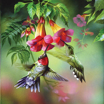 DMC DIY Humming Birds Feeding Time Cross Stitch Pattern***L@@K***Buyers Can Download Your Pattern As Soon As They Complete The Purchase