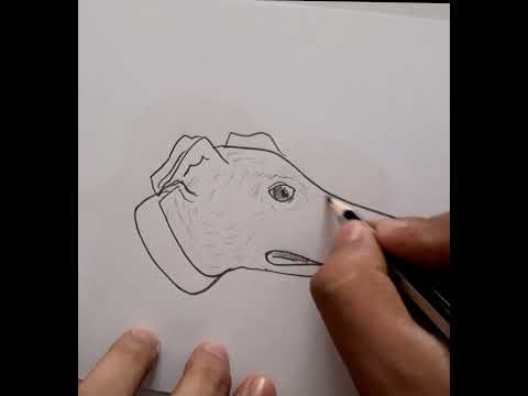 #Shorts | ¿Como dibujar un perro GALGO? |  How to draw a GALGO dog? |