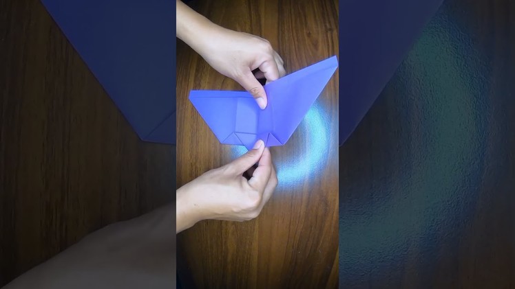 The World's Best Paper Airplanes