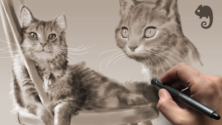 90MAC Life Drawing Class - CATS